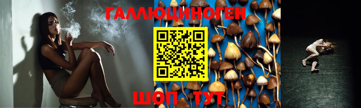 Псилоцибиновые грибы мицелий Гулькевичи